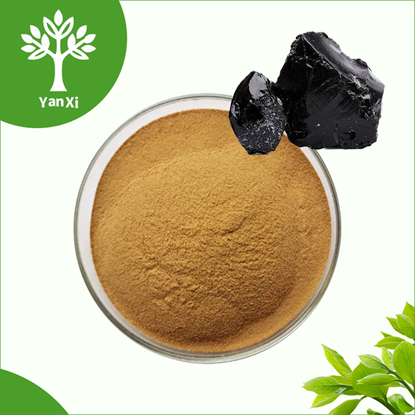 Shilajit Extract Powder Shilajit Extract Powder